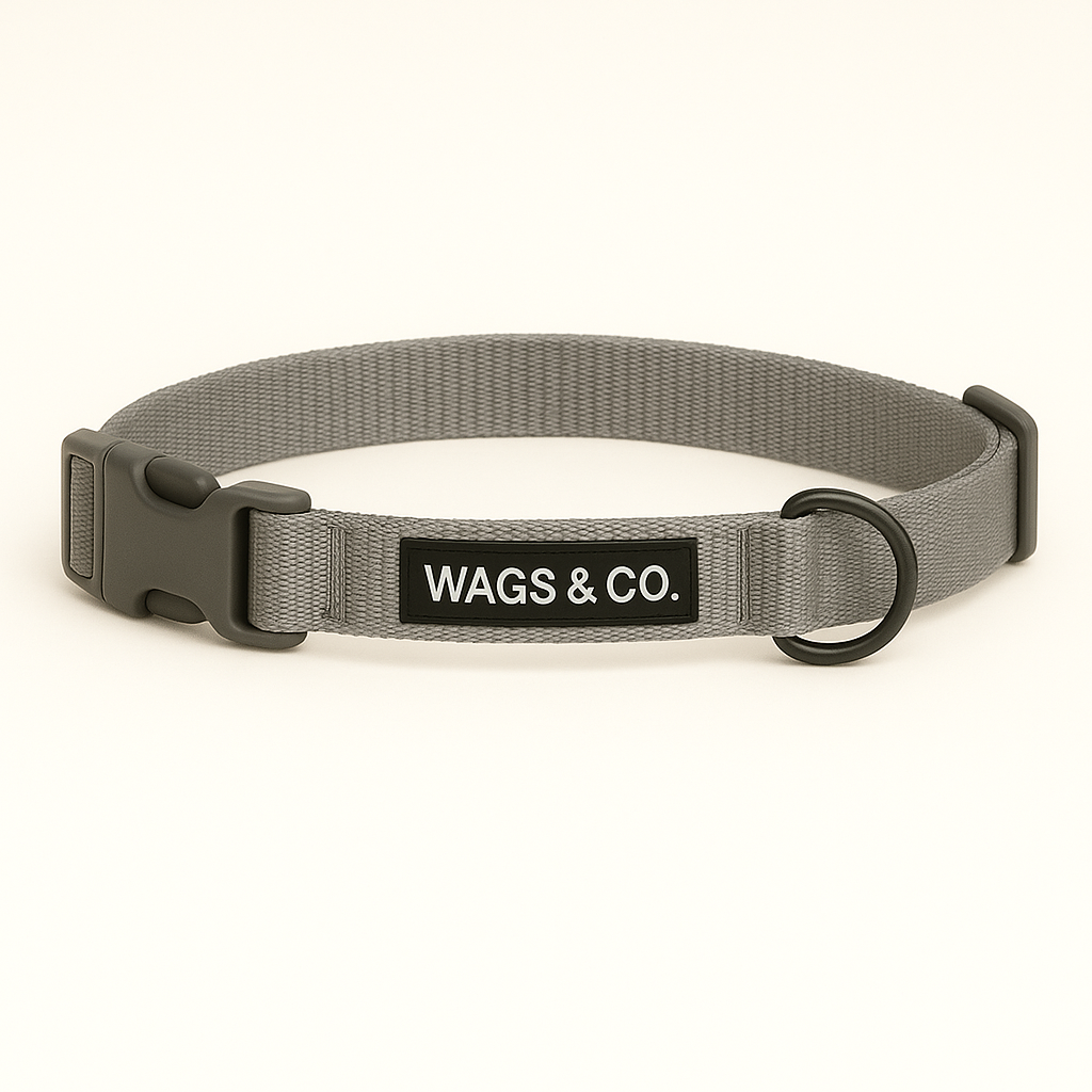 Wags & Co Dog Collar - Grey