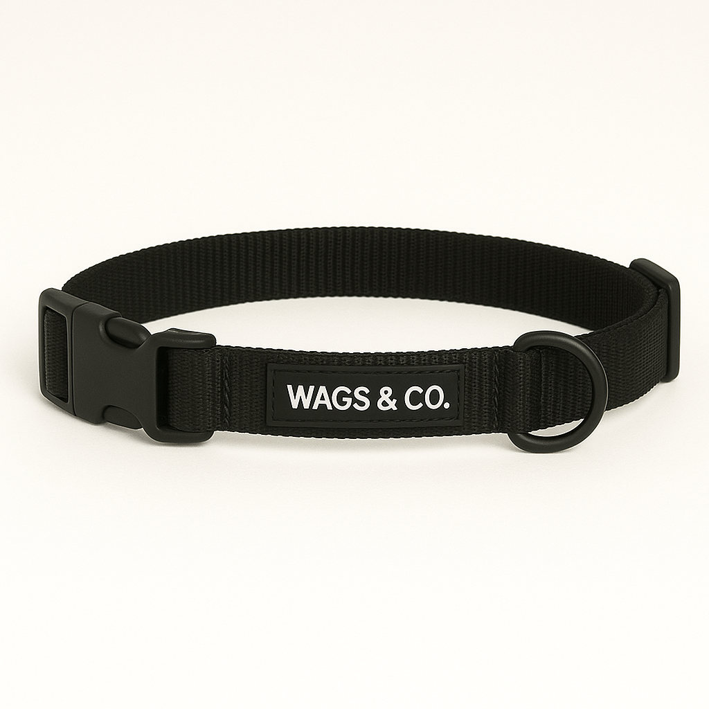 Wags & Co Dog Collar - Black