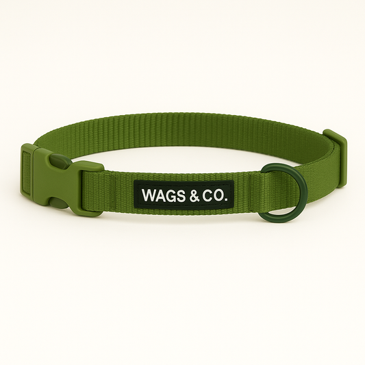 Wags & Co Dog Collar - Green
