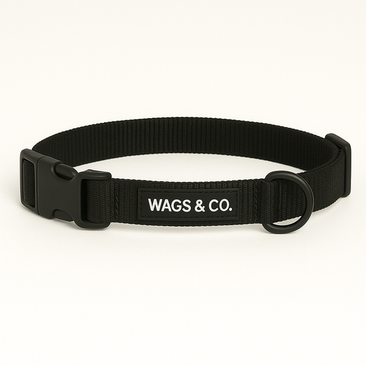Wags & Co Dog Collar - Black